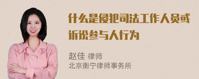 什么是侵犯司法工作人员或诉讼参与人行为