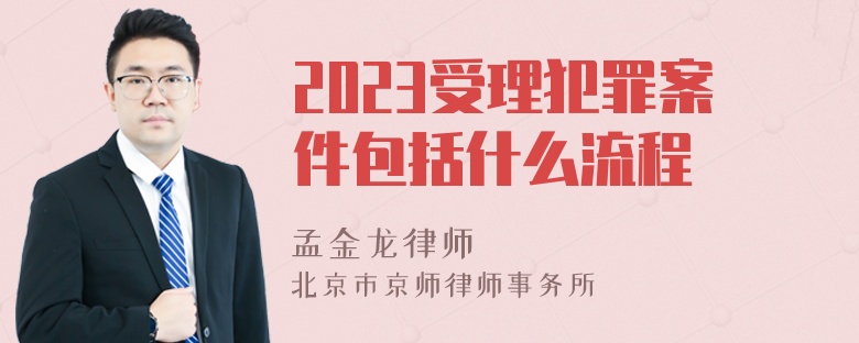 2023受理犯罪案件包括什么流程