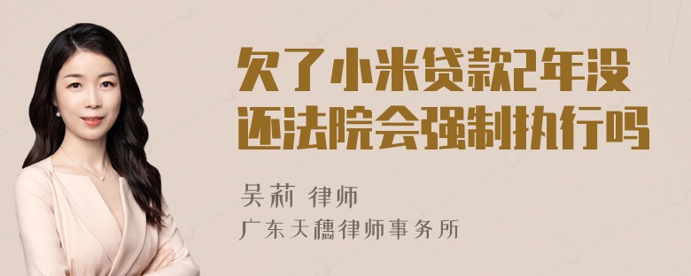 欠了小米贷款2年没还法院会强制执行吗