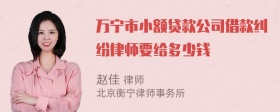 万宁市小额贷款公司借款纠纷律师要给多少钱