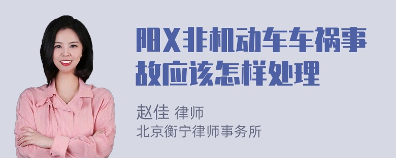 阳X非机动车车祸事故应该怎样处理