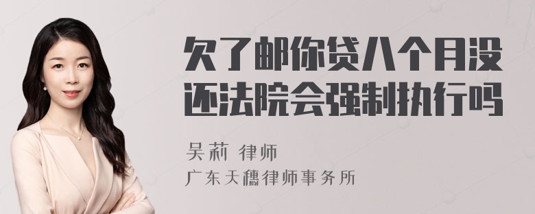欠了邮你贷八个月没还法院会强制执行吗