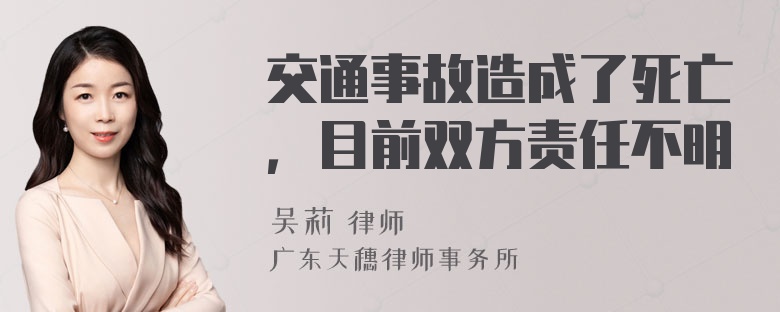 交通事故造成了死亡，目前双方责任不明