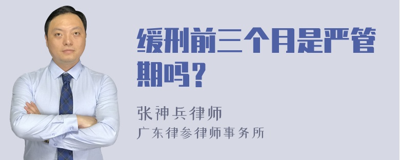 缓刑前三个月是严管期吗？