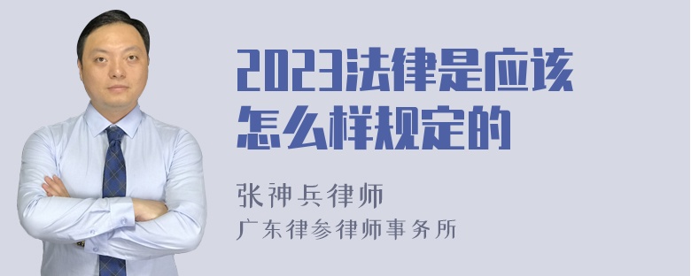 2023法律是应该怎么样规定的