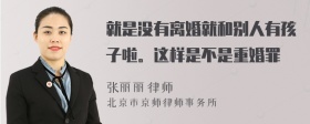 就是没有离婚就和别人有孩子啦。这样是不是重婚罪