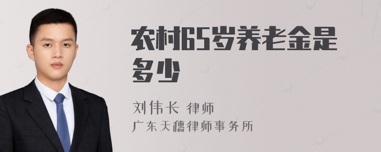 农村65岁养老金是多少