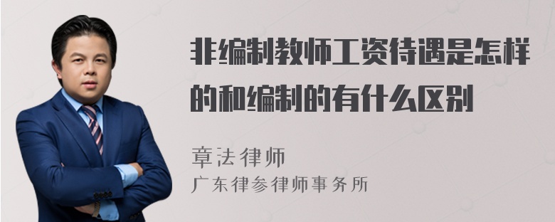 非编制教师工资待遇是怎样的和编制的有什么区别