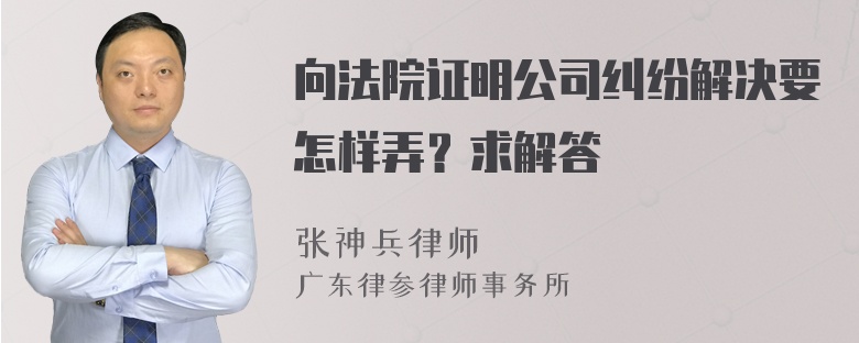 向法院证明公司纠纷解决要怎样弄？求解答