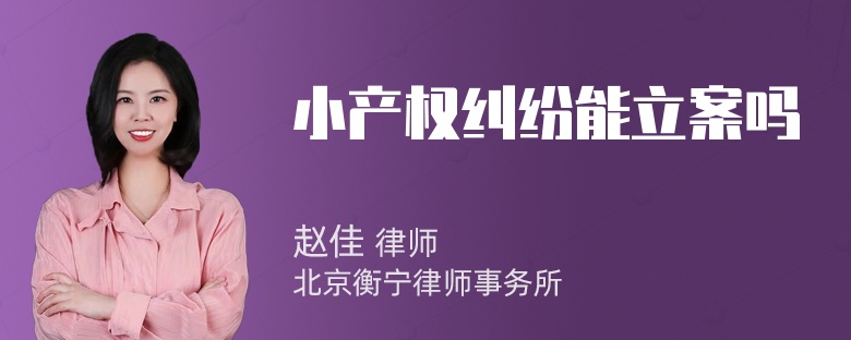 小产权纠纷能立案吗