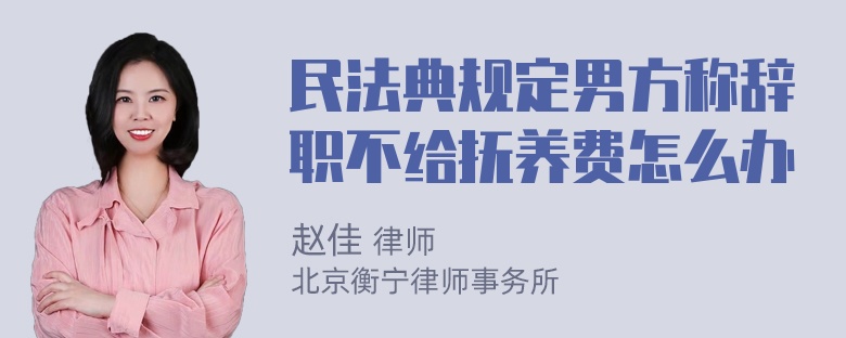 民法典规定男方称辞职不给抚养费怎么办