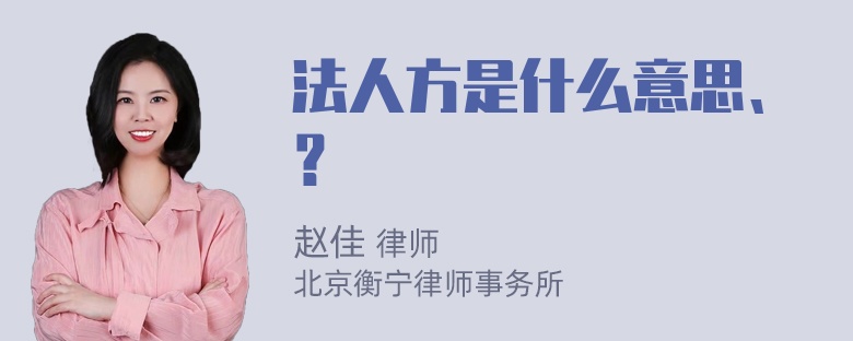 法人方是什么意思、？