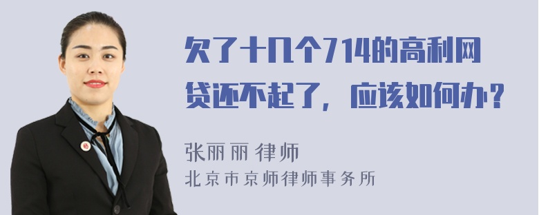 欠了十几个714的高利网贷还不起了，应该如何办？