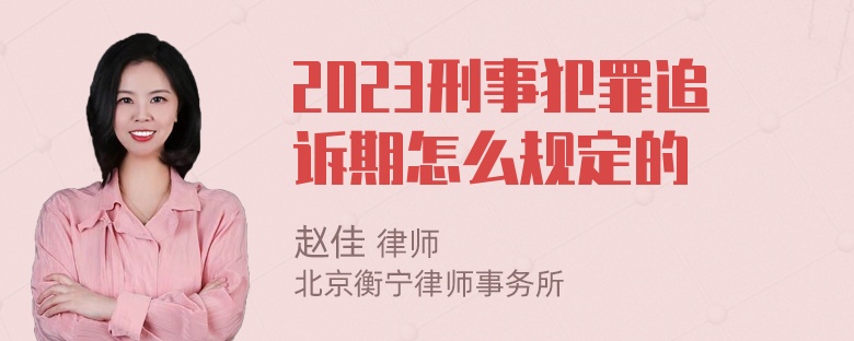 2023刑事犯罪追诉期怎么规定的