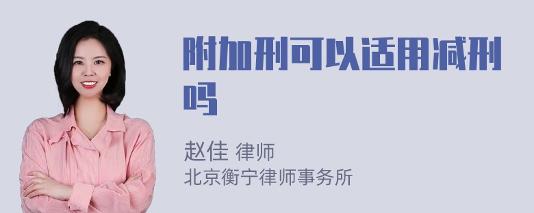 附加刑可以适用减刑吗