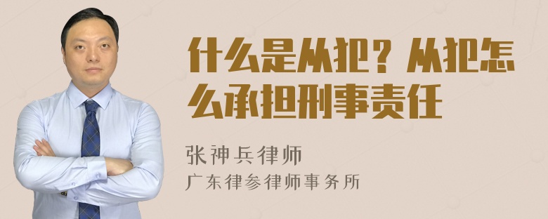 什么是从犯？从犯怎么承担刑事责任