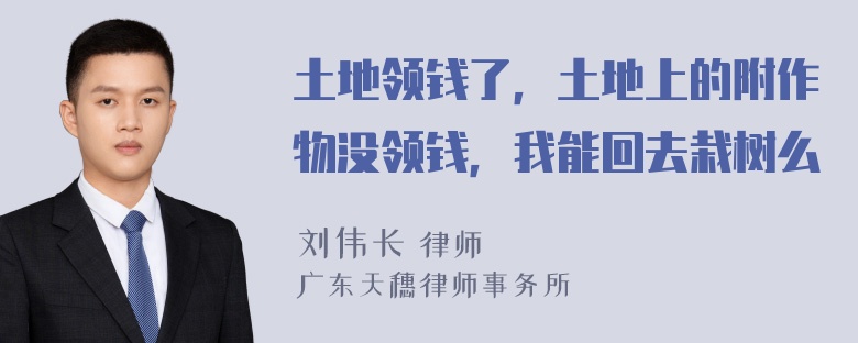 土地领钱了，土地上的附作物没领钱，我能回去栽树么