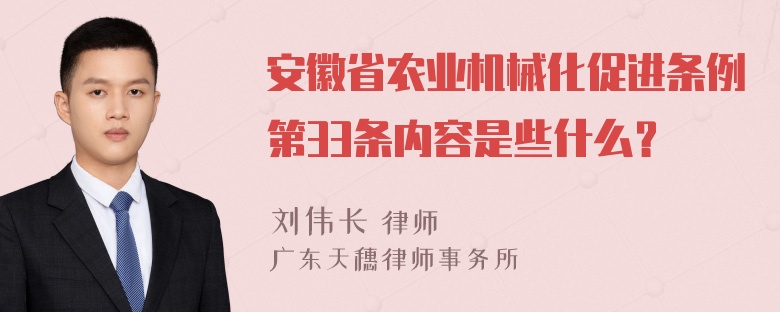 安徽省农业机械化促进条例第33条内容是些什么？