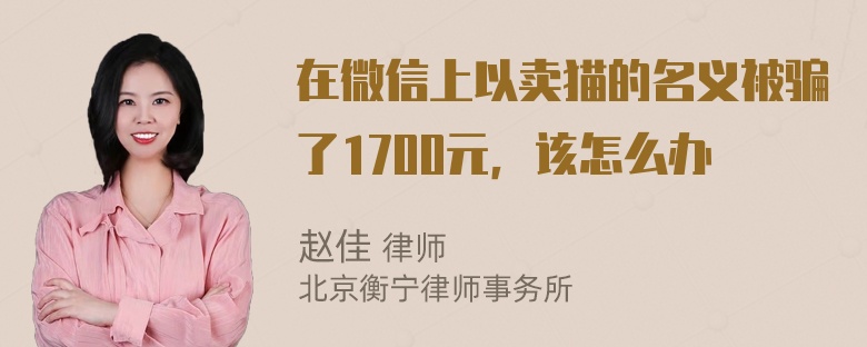 在微信上以卖猫的名义被骗了1700元，该怎么办