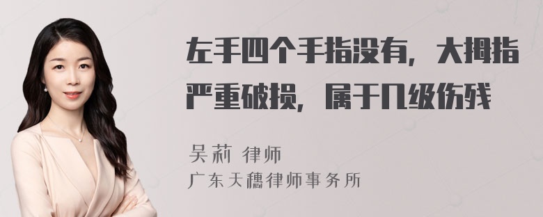 左手四个手指没有，大拇指严重破损，属于几级伤残