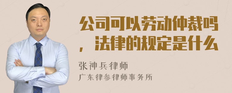 公司可以劳动仲裁吗，法律的规定是什么