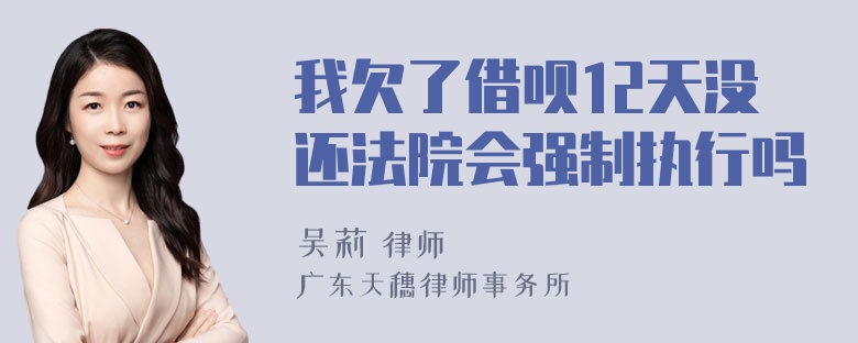 我欠了借呗12天没还法院会强制执行吗