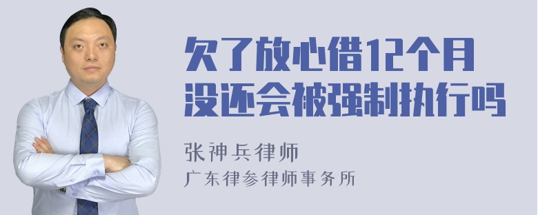 欠了放心借12个月没还会被强制执行吗