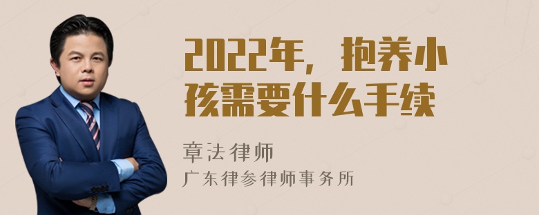 2022年，抱养小孩需要什么手续