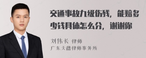 交通事故九级伤残，能赔多少钱具体怎么分，谢谢你