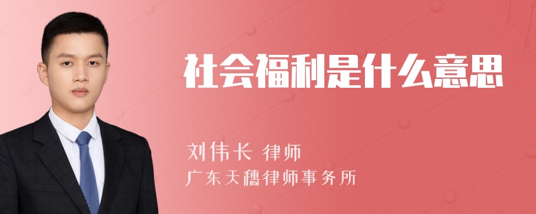 社会福利是什么意思