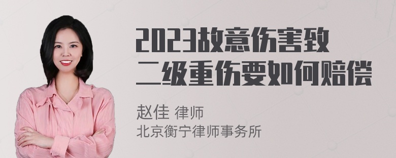 2023故意伤害致二级重伤要如何赔偿