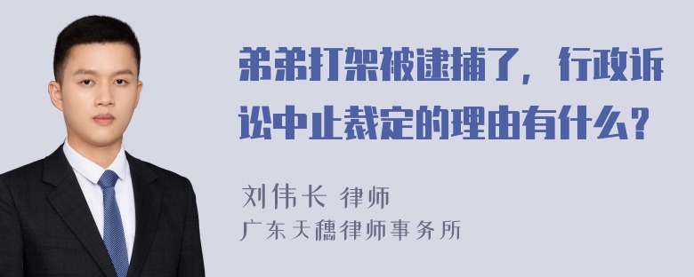 弟弟打架被逮捕了，行政诉讼中止裁定的理由有什么？