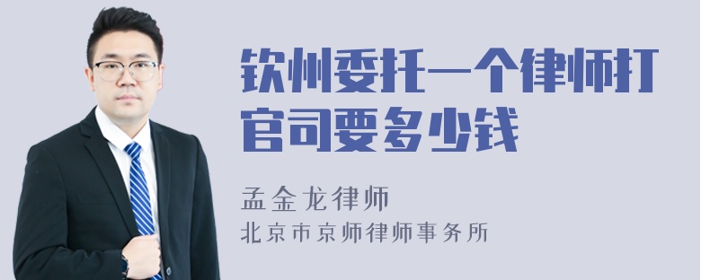 钦州委托一个律师打官司要多少钱