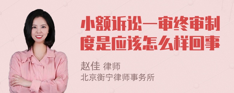 小额诉讼一审终审制度是应该怎么样回事