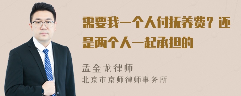 需要我一个人付抚养费？还是两个人一起承担的