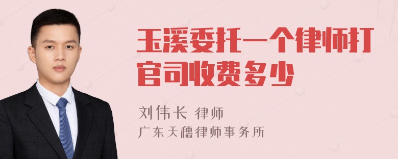 玉溪委托一个律师打官司收费多少