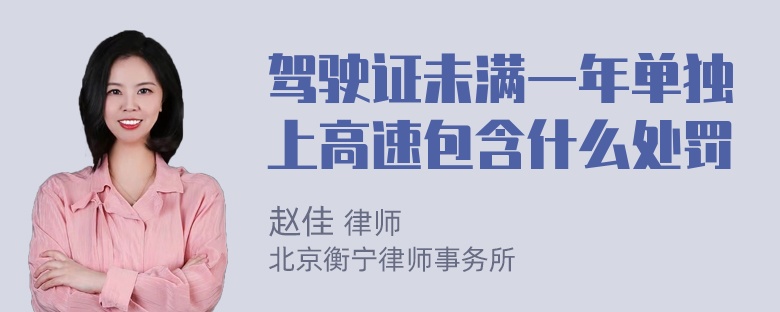 驾驶证未满一年单独上高速包含什么处罚