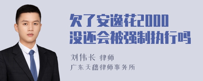 欠了安逸花2000没还会被强制执行吗