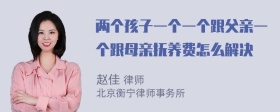 两个孩子一个一个跟父亲一个跟母亲抚养费怎么解决