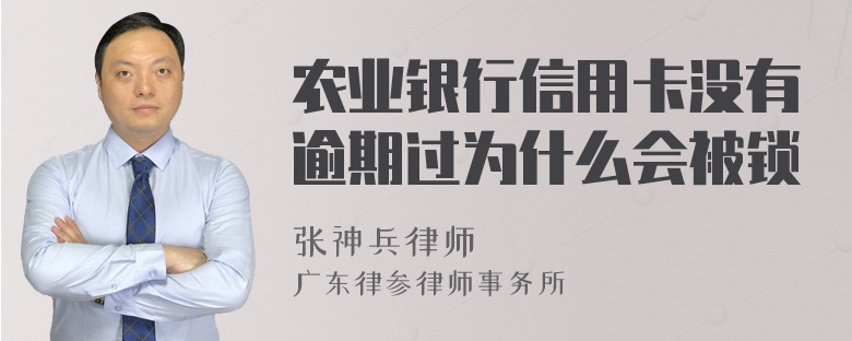 农业银行信用卡没有逾期过为什么会被锁