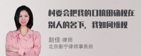 村委会把我的口粮田确权在别人的名下，我如何维权