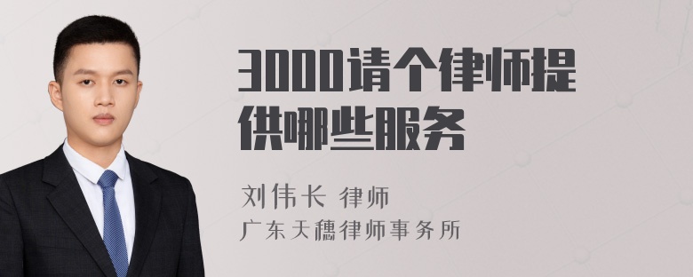 3000请个律师提供哪些服务