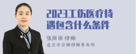 2023工伤医疗待遇包含什么条件