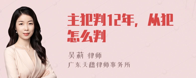 主犯判12年，从犯怎么判