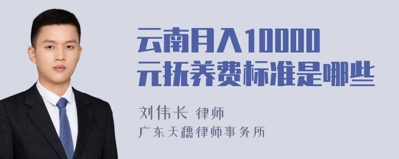 云南月入10000元抚养费标准是哪些