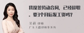 我没签劳动合同，已经辞职。要3个月后发工资吗？