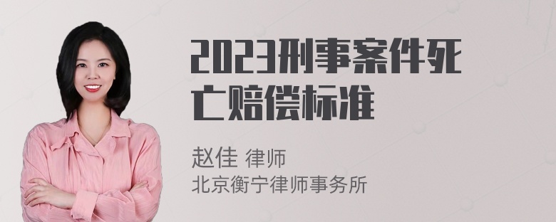 2023刑事案件死亡赔偿标准