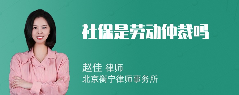 社保是劳动仲裁吗