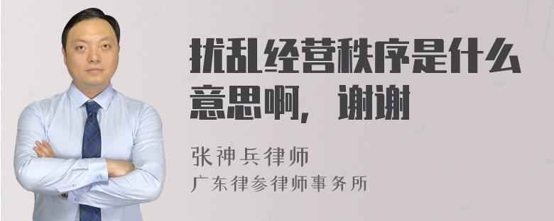 扰乱经营秩序是什么意思啊，谢谢