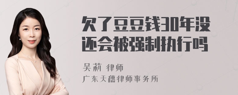 欠了豆豆钱30年没还会被强制执行吗